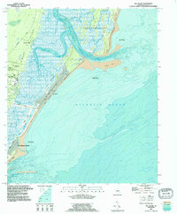 Sea Island 1993 topographic map thumbnail
