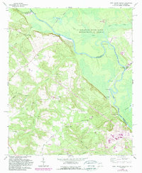Shell Bluff Landing 1965 topographic map thumbnail