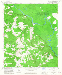 Shell Bluff Landing 1965 topographic map thumbnail