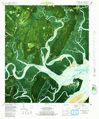 Shellman Bluff 1979 topographic map thumbnail