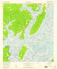 Shellman Bluff 1954 topographic map thumbnail