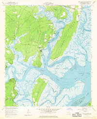 Shellman Bluff 1954 topographic map thumbnail