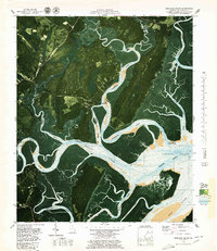 Shellman Bluff 1979 topographic map thumbnail