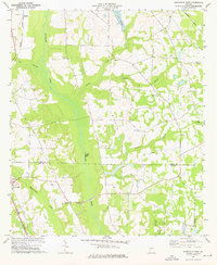 Smithville East 1973 topographic map thumbnail