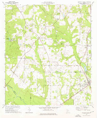 Smithville West 1973 topographic map thumbnail