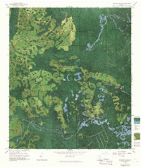 Strange Island 1967 topographic map thumbnail