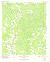 Surrency 1971 topographic map thumbnail