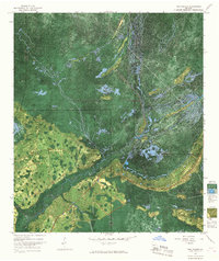 The Pocket 1966 topographic map preview