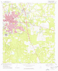 Thomasville 1975 topographic map thumbnail