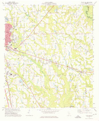 Tifton East 1973 topographic map thumbnail