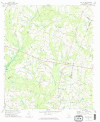 Twin City SE 1971 topographic map thumbnail