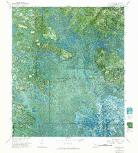 Waycross SE 1967 topographic map thumbnail