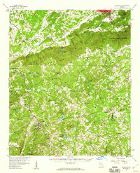 Buchanan 1958 topographic map thumbnail