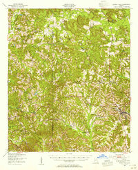 Buena Vista 1950 topographic map thumbnail