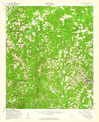 Buena Vista 1955 topographic map thumbnail