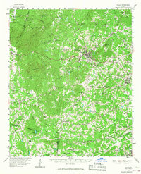 Dallas 1958 topographic map thumbnail