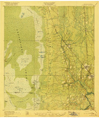 Folkston 1918 topographic map thumbnail