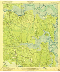Kingsland 1918 topographic map thumbnail