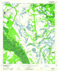 Ludowici 1943 topographic map thumbnail