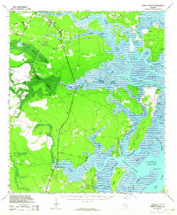 Sapelo River 1943 topographic map thumbnail