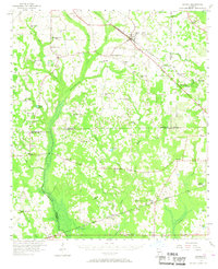 Sasser 1956 topographic map preview