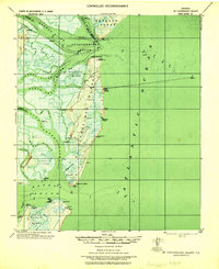 St Catherines Island 1928 topographic map thumbnail