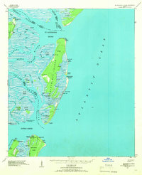 St Catherines Island 1943 topographic map thumbnail