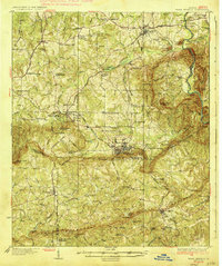 Warm Springs 1936 topographic map thumbnail