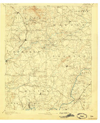 Suwanee 1894 topographic map thumbnail