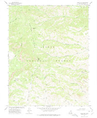 Adams Head 1971 topographic map preview