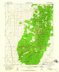Adamsville 1958 topographic map thumbnail