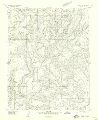 Aneth 1 NW topographic map thumbnail