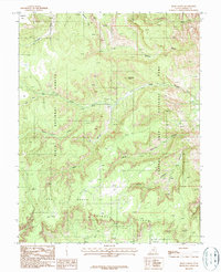 Bear Canyon 1987 topographic map thumbnail
