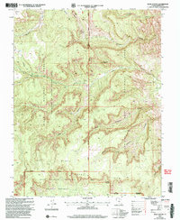 Bear Canyon 2002 topographic map thumbnail