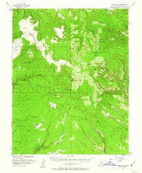 Bears Ears 1954 topographic map thumbnail