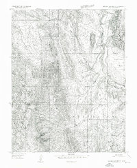 Beaver Dam Mts NE topographic map thumbnail
