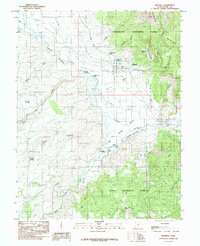 Bicknell 1985 topographic map thumbnail