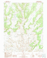 Big Bench 1989 topographic map thumbnail