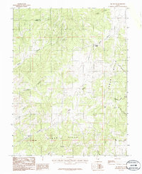 Big Hollow 1983 topographic map thumbnail