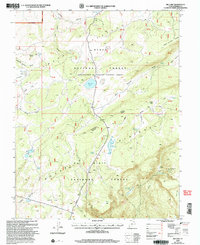 Big Lake 2002 topographic map thumbnail