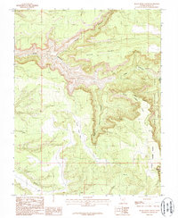 Black Steer Canyon 1987 topographic map thumbnail