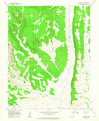 Bluff NW 1962 topographic map thumbnail