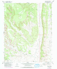 Bluff NW 1962 topographic map thumbnail