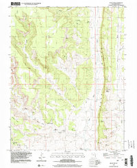 Bluff NW 1996 topographic map thumbnail