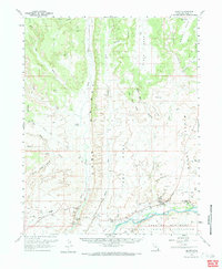 Bluff 1962 topographic map thumbnail