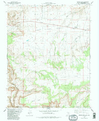 Bridger Point 1981 topographic map thumbnail