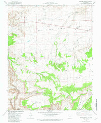 Bridger Point 1981 topographic map preview
