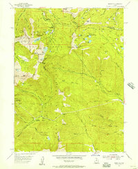 Brighton 1955 topographic map preview