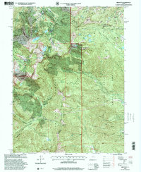 Brighton 1998 topographic map thumbnail