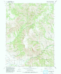 Browns Hole 1991 topographic map thumbnail